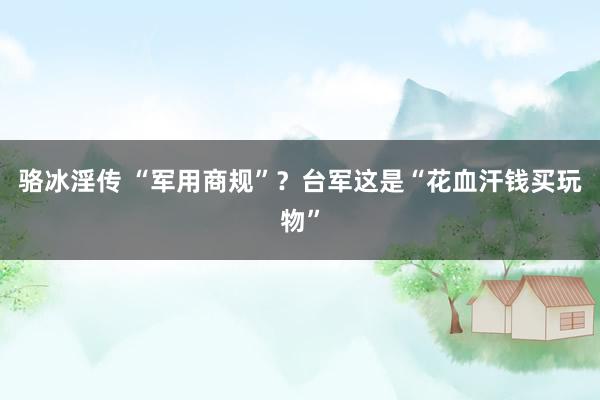 骆冰淫传 “军用商规”？台军这是“花血汗钱买玩物”