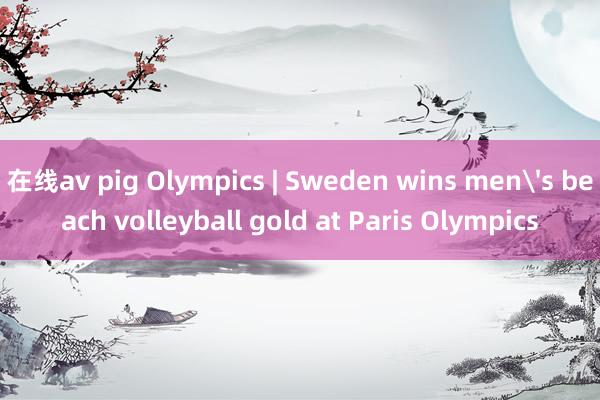 在线av pig Olympics | Sweden wins men's beach volleyball gold at Paris Olympics