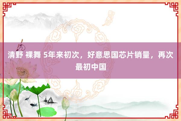 清野 裸舞 5年来初次，好意思国芯片销量，再次最初中国