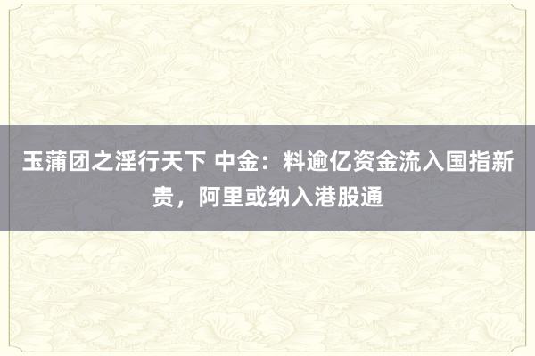 玉蒲团之淫行天下 中金：料逾亿资金流入国指新贵，阿里或纳入港股通