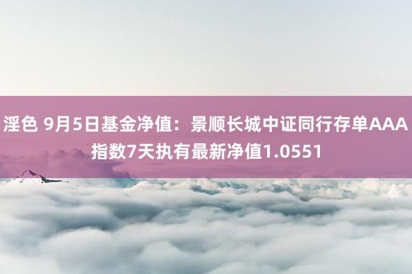 淫色 9月5日基金净值：景顺长城中证同行存单AAA指数7天执有最新净值1.0551