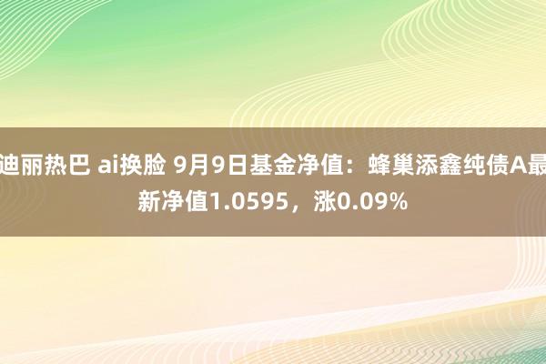 迪丽热巴 ai换脸 9月9日基金净值：蜂巢添鑫纯债A最新净值1.0595，涨0.09%