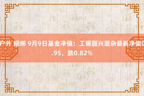 户外 捆绑 9月9日基金净值：工银圆兴混杂最新净值0.95，跌0.82%