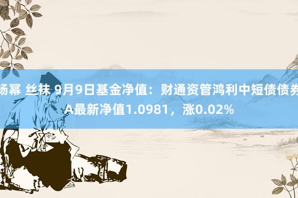 杨幂 丝袜 9月9日基金净值：财通资管鸿利中短债债券A最新净值1.0981，涨0.02%