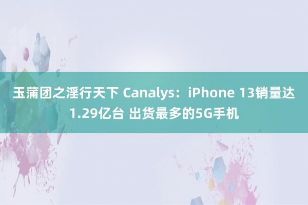 玉蒲团之淫行天下 Canalys：iPhone 13销量达1.29亿台 出货最多的5G手机