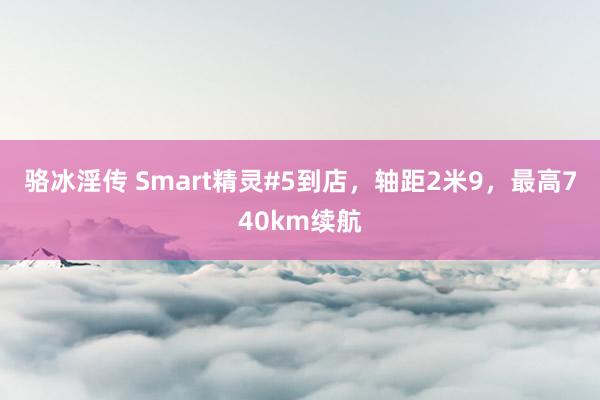 骆冰淫传 Smart精灵#5到店，轴距2米9，最高740km续航