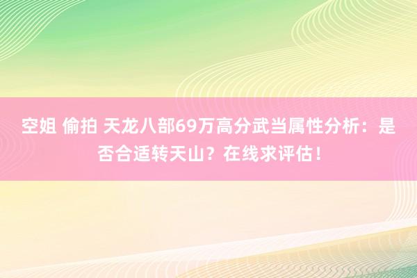 空姐 偷拍 天龙八部69万高分武当属性分析：是否合适转天山？在线求评估！