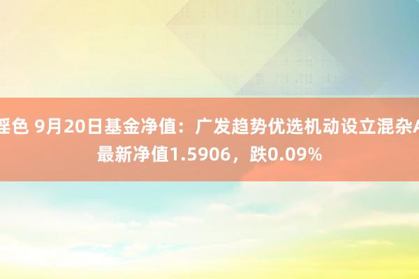 淫色 9月20日基金净值：广发趋势优选机动设立混杂A最新净值1.5906，跌0.09%