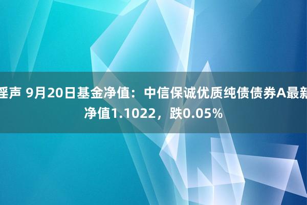 淫声 9月20日基金净值：中信保诚优质纯债债券A最新净值1.1022，跌0.05%