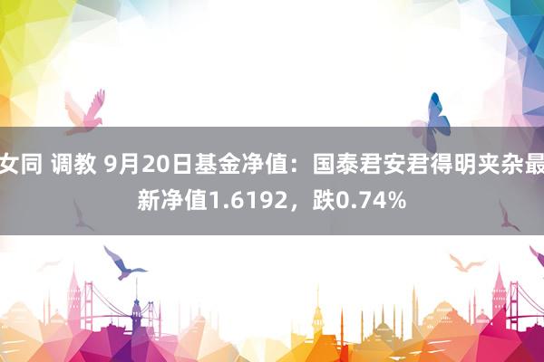 女同 调教 9月20日基金净值：国泰君安君得明夹杂最新净值1.6192，跌0.74%