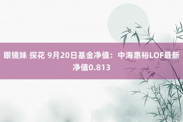 眼镜妹 探花 9月20日基金净值：中海惠裕LOF最新净值0.813