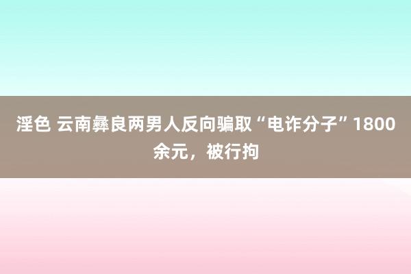 淫色 云南彝良两男人反向骗取“电诈分子”1800余元，被行拘