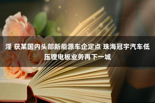 淫 获某国内头部新能源车企定点 珠海冠宇汽车低压锂电板业务再下一城