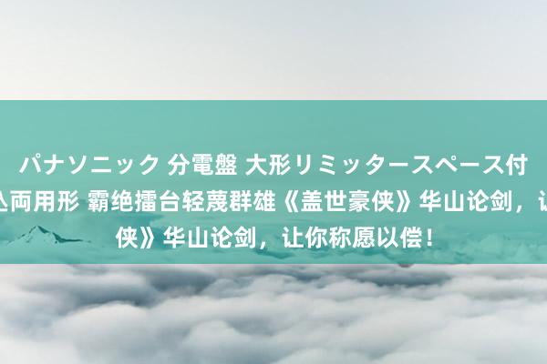 パナソニック 分電盤 大形リミッタースペース付 露出・半埋込両用形 霸绝擂台轻蔑群雄《盖世豪侠》华山论剑，让你称愿以偿！