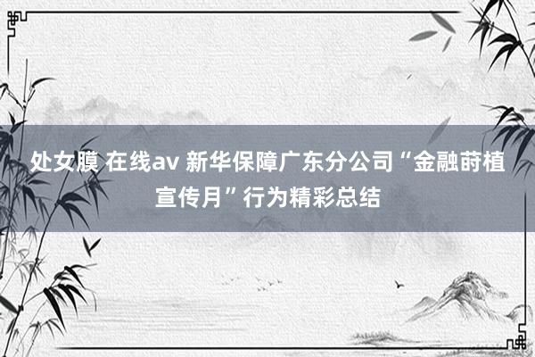 处女膜 在线av 新华保障广东分公司“金融莳植宣传月”行为精彩总结