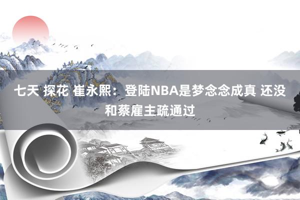 七天 探花 崔永熙：登陆NBA是梦念念成真 还没和蔡雇主疏通过