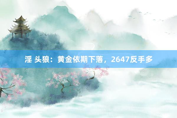 淫 头狼：黄金依期下落，2647反手多