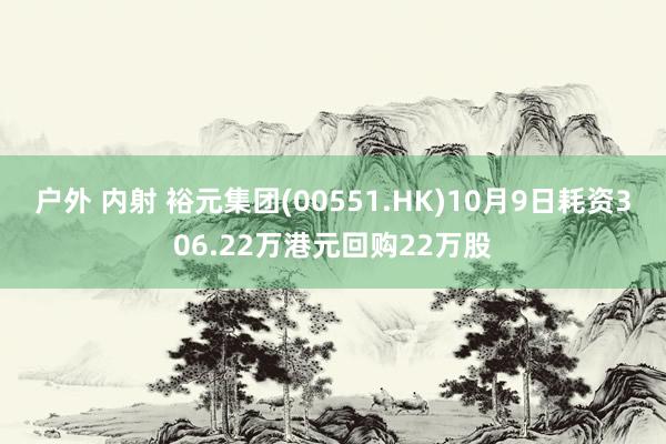 户外 内射 裕元集团(00551.HK)10月9日耗资306.22万港元回购22万股