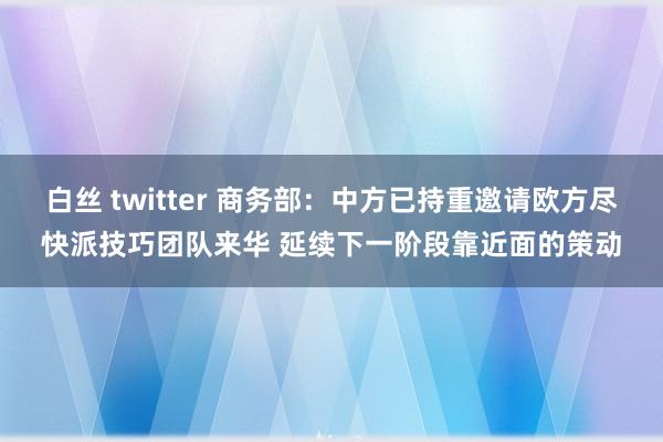 白丝 twitter 商务部：中方已持重邀请欧方尽快派技巧团队来华 延续下一阶段靠近面的策动