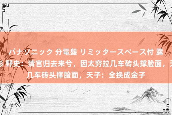 パナソニック 分電盤 リミッタースペース付 露出・半埋込両用形 野史：清官归去来兮，因太穷拉几车砖头撑脸面，天子：全换成金子