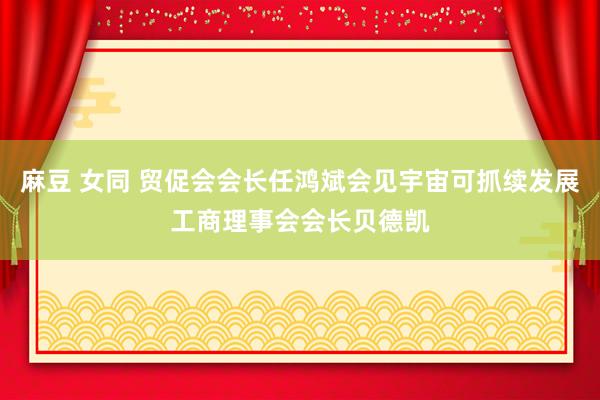 麻豆 女同 贸促会会长任鸿斌会见宇宙可抓续发展工商理事会会长贝德凯