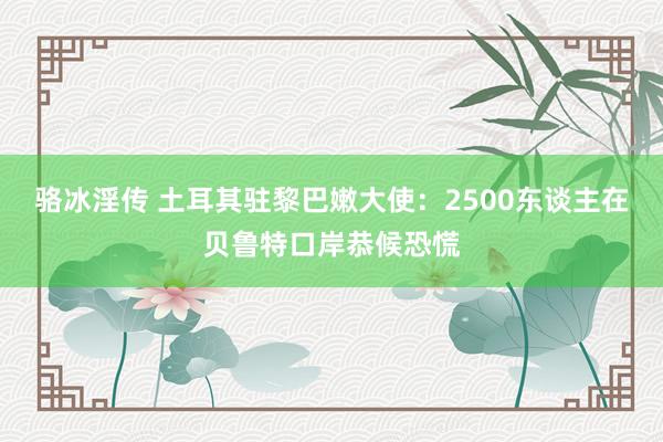 骆冰淫传 土耳其驻黎巴嫩大使：2500东谈主在贝鲁特口岸恭候恐慌