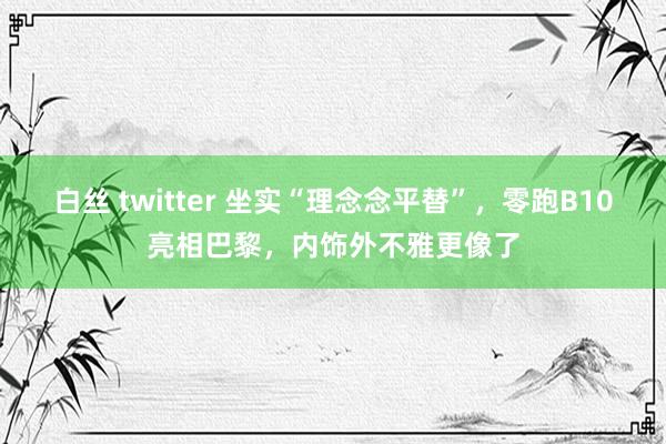 白丝 twitter 坐实“理念念平替”，零跑B10亮相巴黎，内饰外不雅更像了