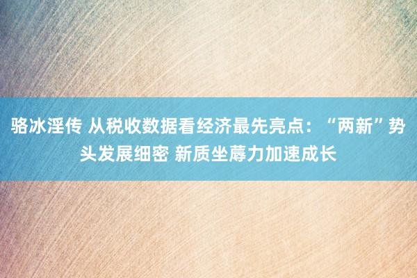 骆冰淫传 从税收数据看经济最先亮点：“两新”势头发展细密 新质坐蓐力加速成长