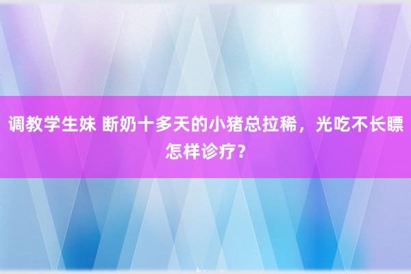 调教学生妹 断奶十多天的小猪总拉稀，光吃不长瞟怎样诊疗？