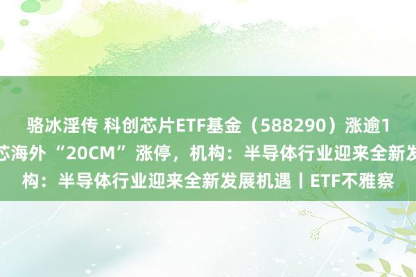 骆冰淫传 科创芯片ETF基金（588290）涨逾17%，寒武纪-U、中芯海外 “20CM” 涨停，机构：半导体行业迎来全新发展机遇丨ETF不雅察