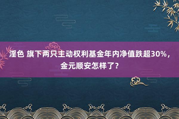 淫色 旗下两只主动权利基金年内净值跌超30%，金元顺安怎样了？