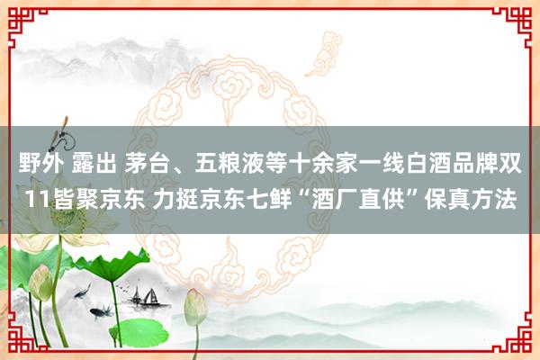 野外 露出 茅台、五粮液等十余家一线白酒品牌双11皆聚京东 力挺京东七鲜“酒厂直供”保真方法