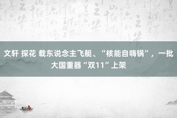 文轩 探花 载东说念主飞艇、“核能自嗨锅”，一批大国重器“双11”上架