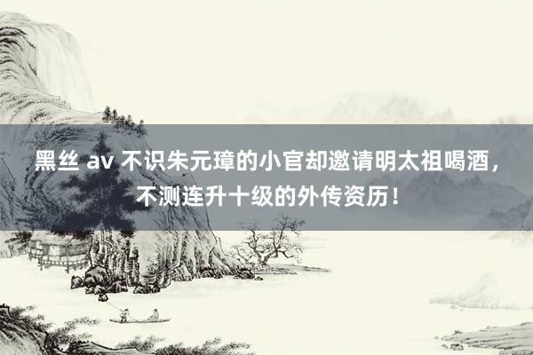 黑丝 av 不识朱元璋的小官却邀请明太祖喝酒，不测连升十级的外传资历！