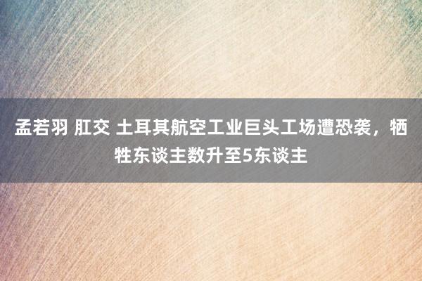 孟若羽 肛交 土耳其航空工业巨头工场遭恐袭，牺牲东谈主数升至5东谈主