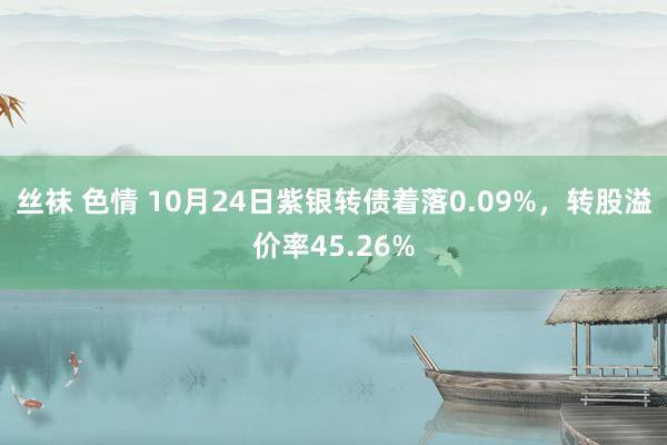 丝袜 色情 10月24日紫银转债着落0.09%，转股溢价率45.26%