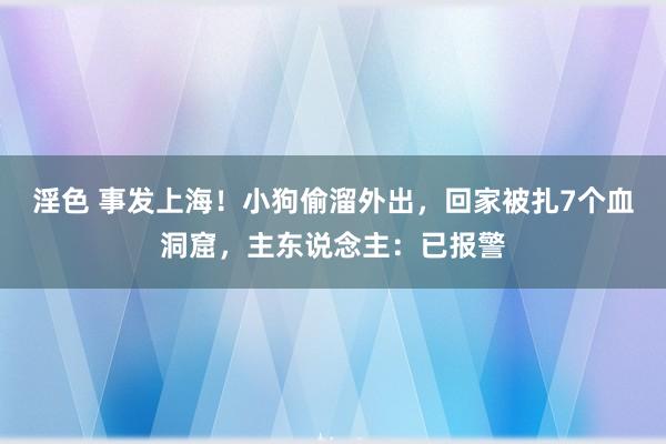 淫色 事发上海！小狗偷溜外出，回家被扎7个血洞窟，主东说念主：已报警