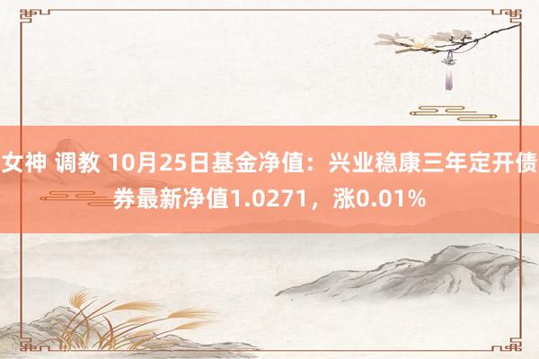 女神 调教 10月25日基金净值：兴业稳康三年定开债券最新净值1.0271，涨0.01%