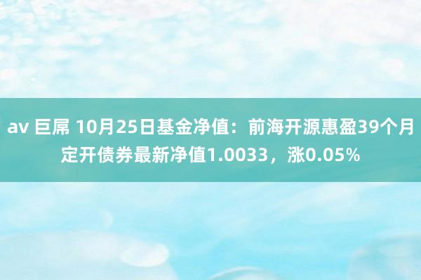 av 巨屌 10月25日基金净值：前海开源惠盈39个月定开债券最新净值1.0033，涨0.05%