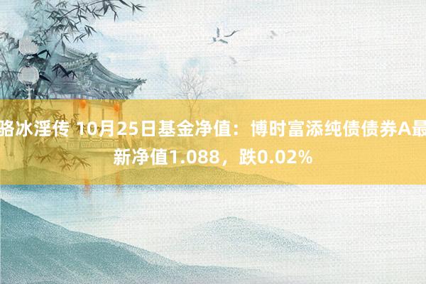 骆冰淫传 10月25日基金净值：博时富添纯债债券A最新净值1.088，跌0.02%