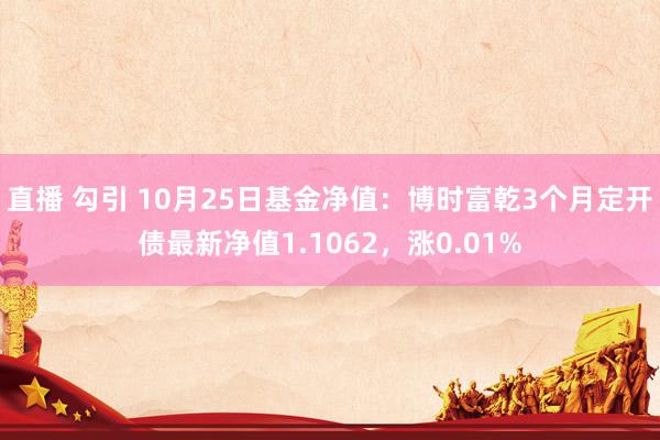 直播 勾引 10月25日基金净值：博时富乾3个月定开债最新净值1.1062，涨0.01%