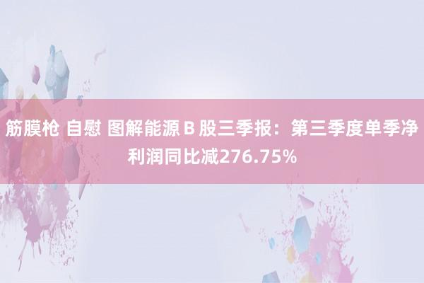 筋膜枪 自慰 图解能源Ｂ股三季报：第三季度单季净利润同比减276.75%