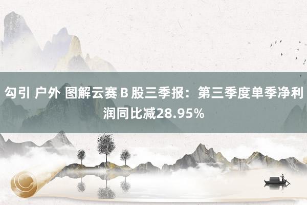 勾引 户外 图解云赛Ｂ股三季报：第三季度单季净利润同比减28.95%