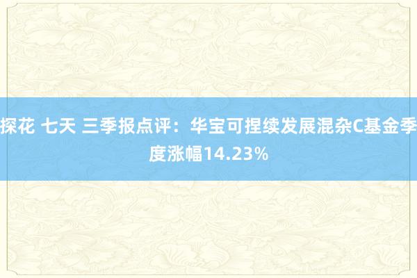 探花 七天 三季报点评：华宝可捏续发展混杂C基金季度涨幅14.23%