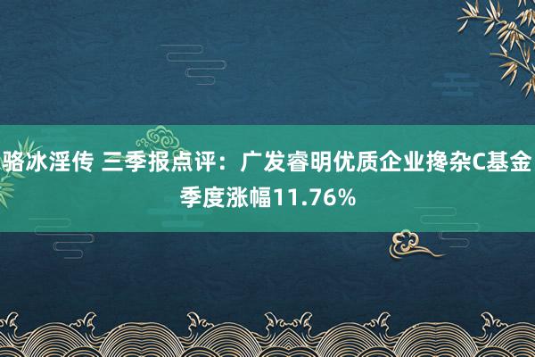 骆冰淫传 三季报点评：广发睿明优质企业搀杂C基金季度涨幅11.76%