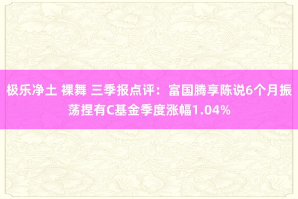 极乐净土 裸舞 三季报点评：富国腾享陈说6个月振荡捏有C基金季度涨幅1.04%