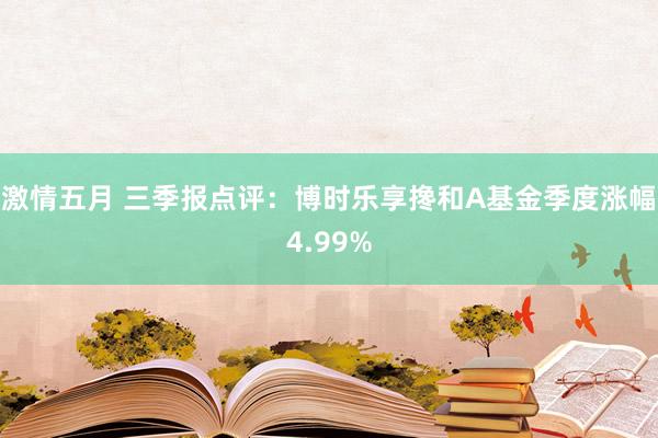 激情五月 三季报点评：博时乐享搀和A基金季度涨幅4.99%