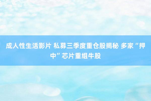 成人性生活影片 私募三季度重仓股揭秘 多家“押中”芯片重组牛股