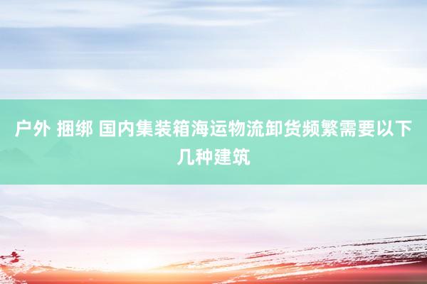 户外 捆绑 国内集装箱海运物流卸货频繁需要以下几种建筑