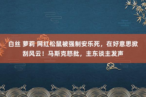 白丝 萝莉 网红松鼠被强制安乐死，在好意思掀刮风云！马斯克怒批，主东谈主发声